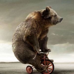 Meet your Posher, Sol